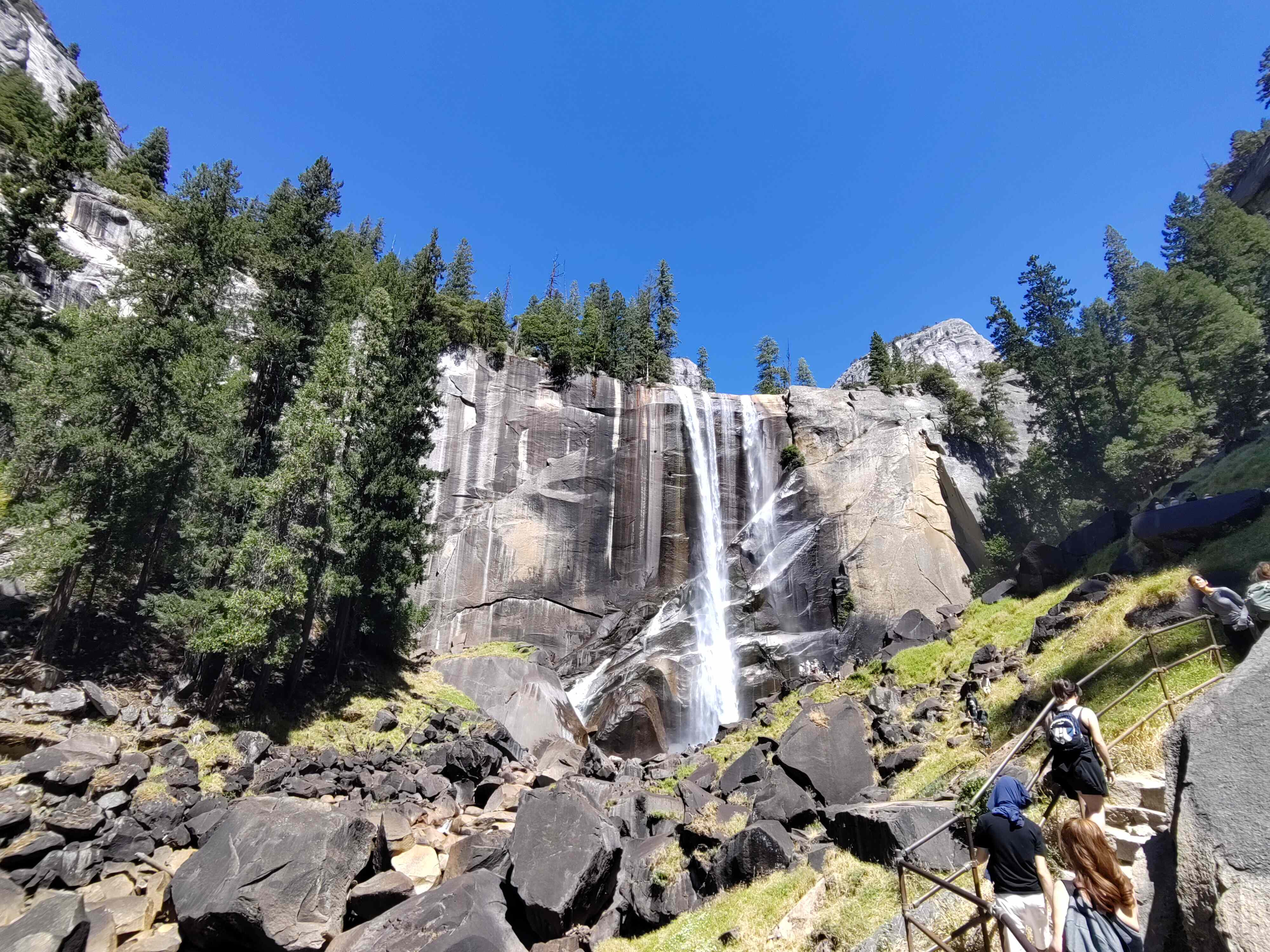 Café chaud, Mouches à ...