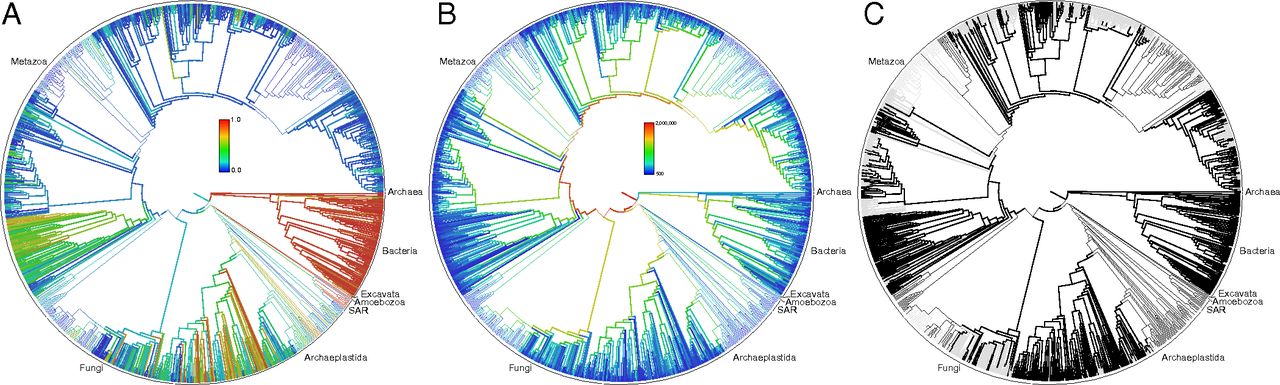 Le continuum biologique - espèces