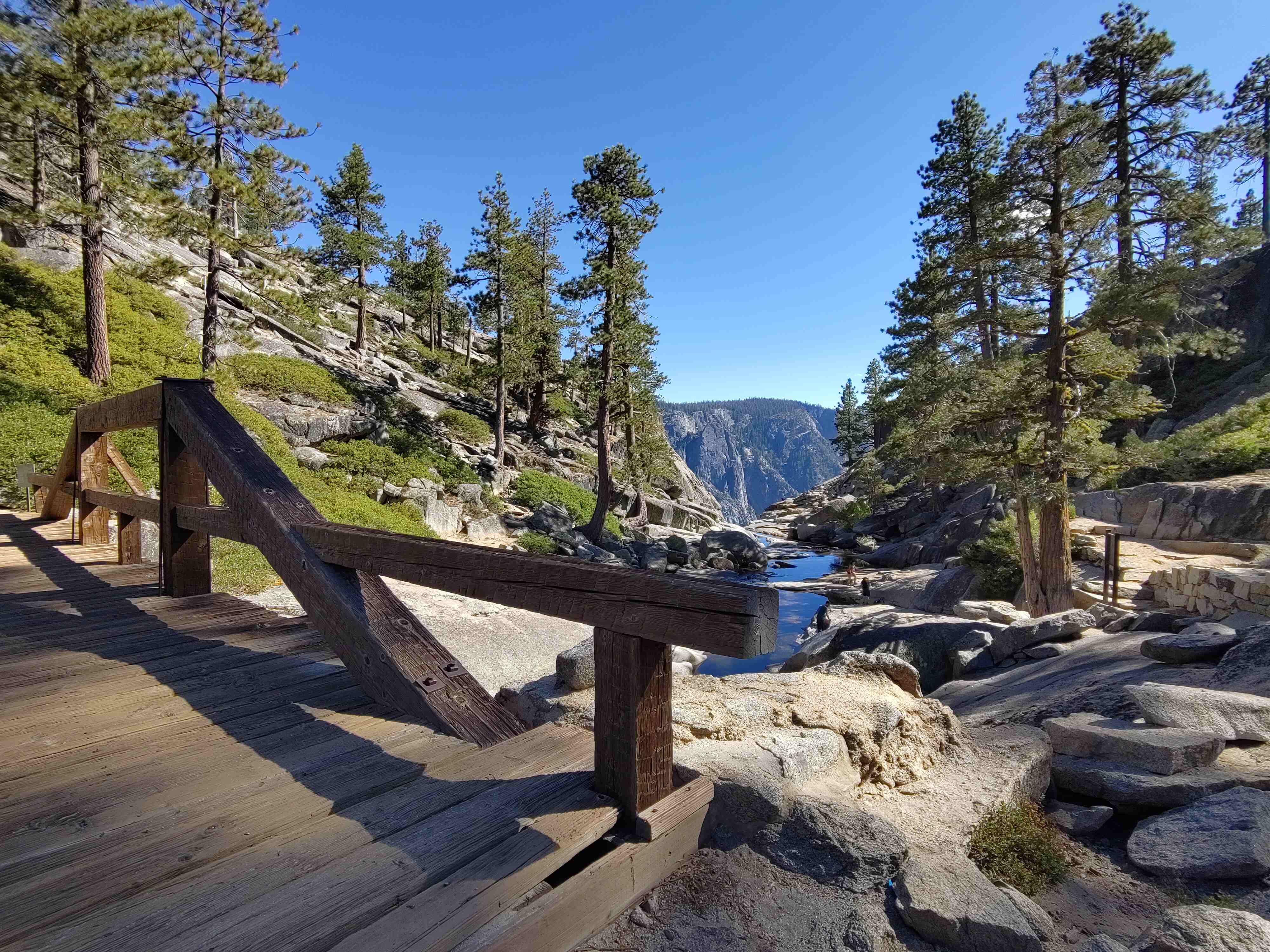 Café, Rando et Ours : ...